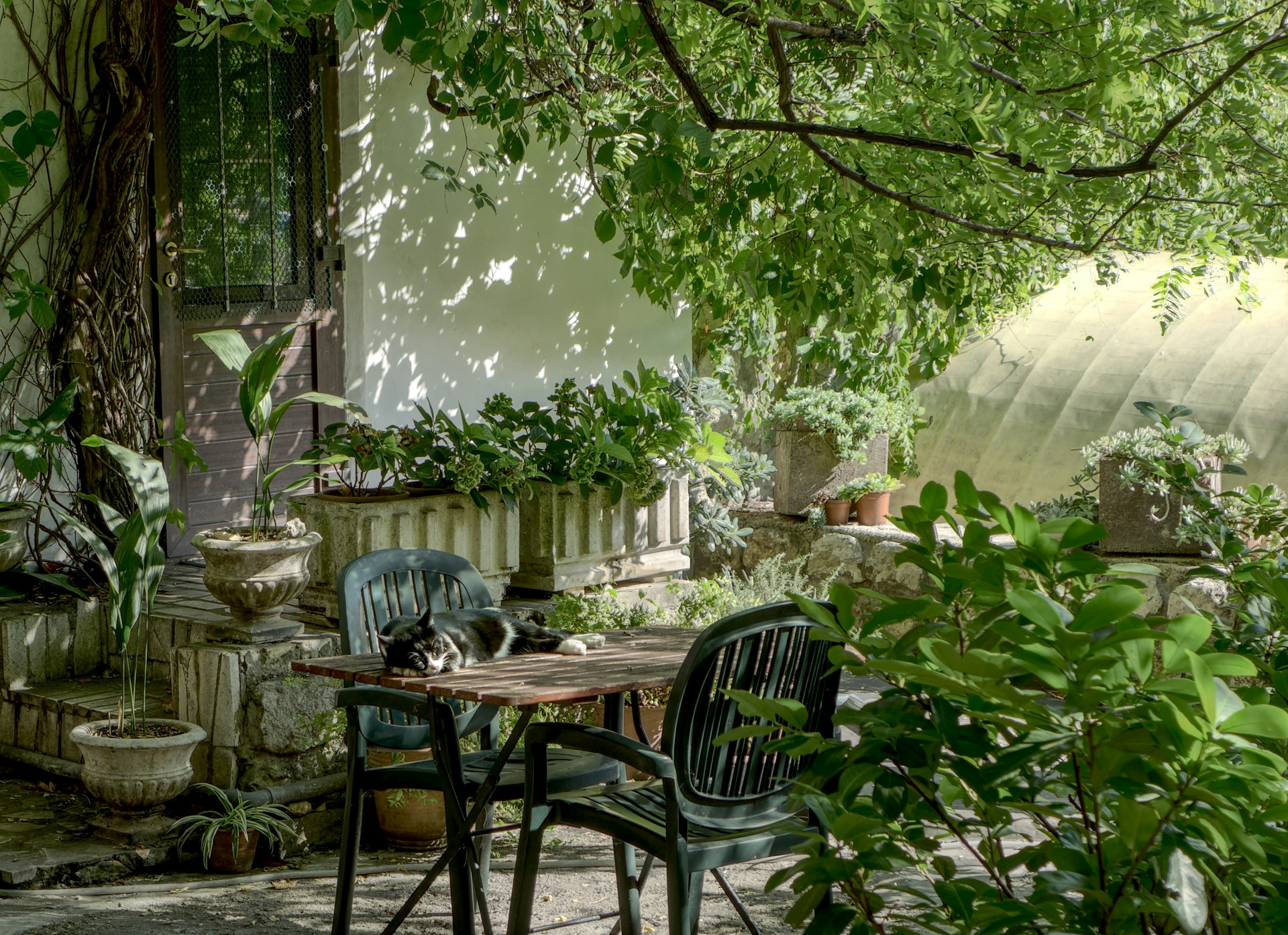 Garden Gadgets